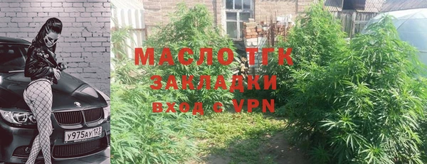 ГАЛЛЮЦИНОГЕННЫЕ ГРИБЫ Аркадак