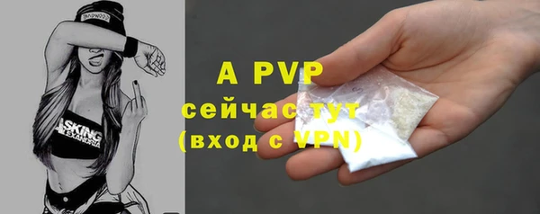 спиды Арсеньев