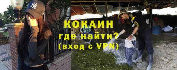 ГАЛЛЮЦИНОГЕННЫЕ ГРИБЫ Аркадак