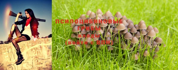 ALPHA-PVP Армянск