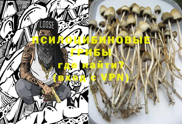 крисы Покровск
