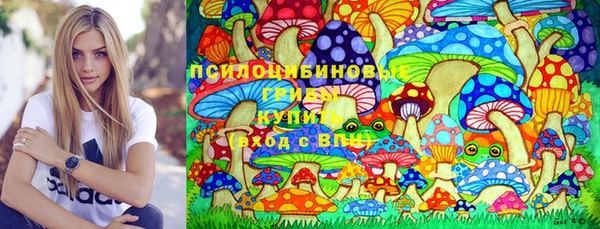 спиды Арсеньев