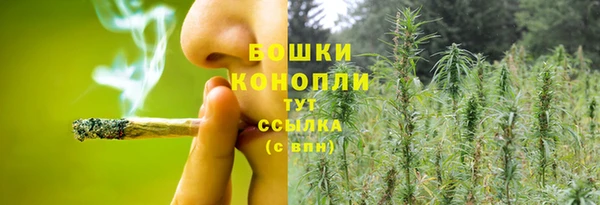 ГАЛЛЮЦИНОГЕННЫЕ ГРИБЫ Аркадак