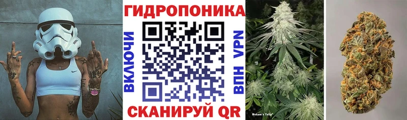 Марихуана OG Kush  кракен онион  Судак 